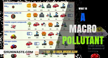 Understanding Macro Pollutants: What Are They?
