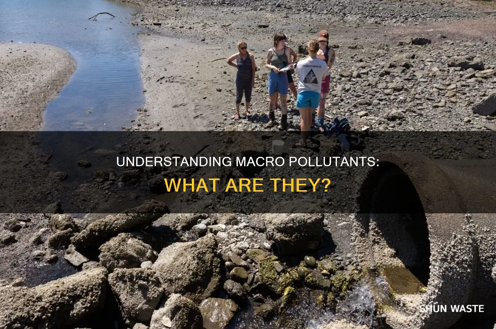 what is a macro pollutant