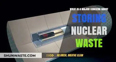 Storing Nuclear Waste: Major Environmental and Safety Concerns Explained
