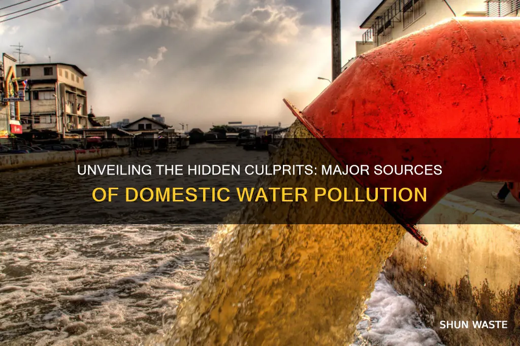 what is a major element of domestic water pollution