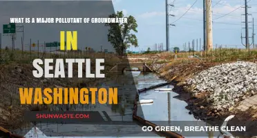 Seattle's Groundwater: A Pollutant Problem