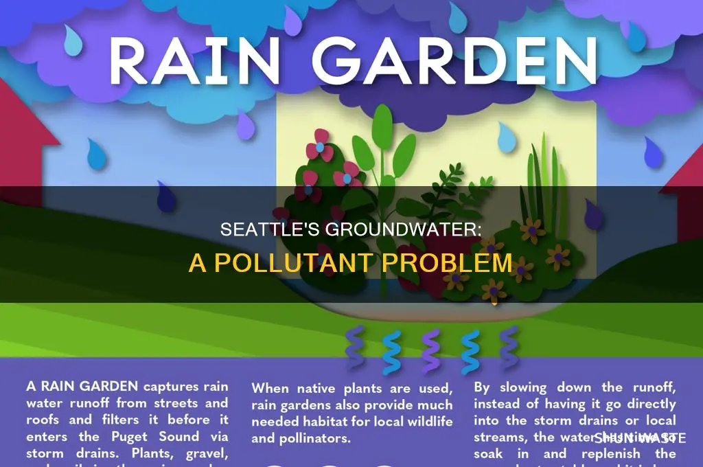 what is a major pollutant of groundwater in seattle washington