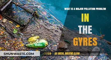 The Gyre's Pollution: A Global Plastic Crisis