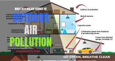 Outdoor Air Pollution: The Major Culprits Revealed