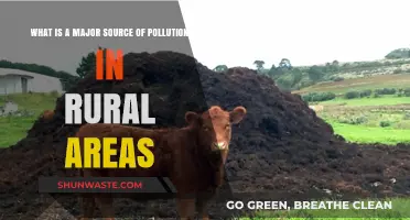 Rural Pollution: The Silent Crisis