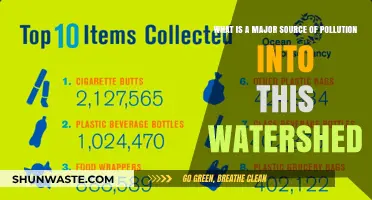 Sources of Pollution in Watersheds: A Troubling Issue