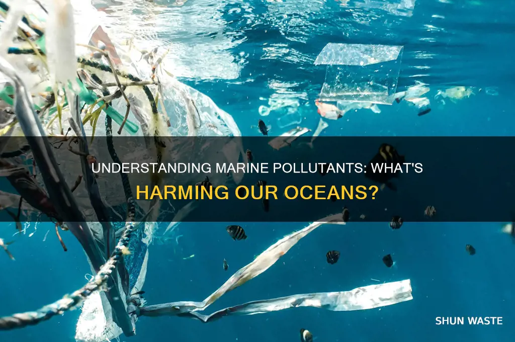 what is a marine pollutant
