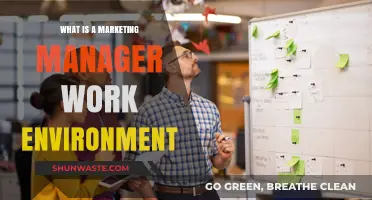 Exploring the Dynamic Work Environment of a Marketing Manager