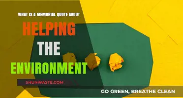 Honoring Nature: Inspirational Memorial Quotes for Environmental Stewardship