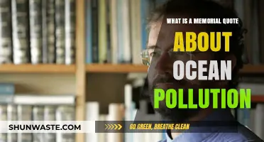 Ocean Pollution Memorial: A Call to Action