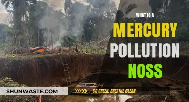 Mercury Pollution Noss: Understanding the Impact and Solutions
