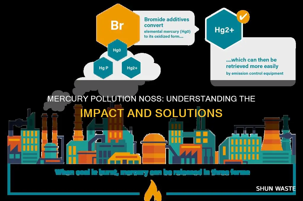 what is a mercury pollution noss