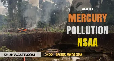 Mercury Pollution: NASA's Mission to Understand Its Impact