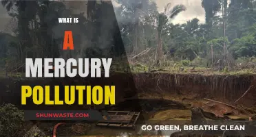 Mercury Pollution: Understanding the Toxic Threat