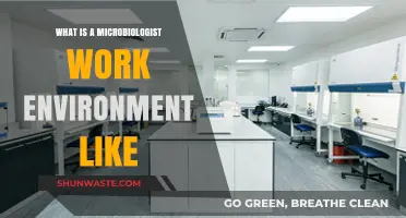 Exploring the Daily Work Environment of a Microbiologist