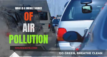 Mobile Air Pollution: Harmful Emissions on the Move