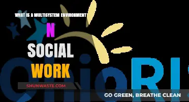 Understanding Multisystem Environments in Social Work: A Comprehensive Guide