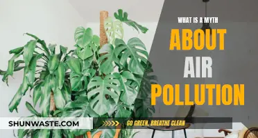 Air Pollution: Debunking the Myths