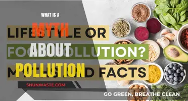 Myths About Pollution: What You Need to Know