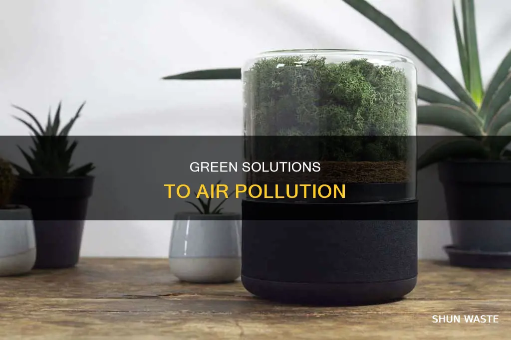 what is a natrul way of air pollution