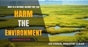 Environmental Threats: Understanding Natural Hazards and Their Impact on Ecosystems