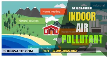 Natural Air Pollutants: What's Hiding in Your Home?