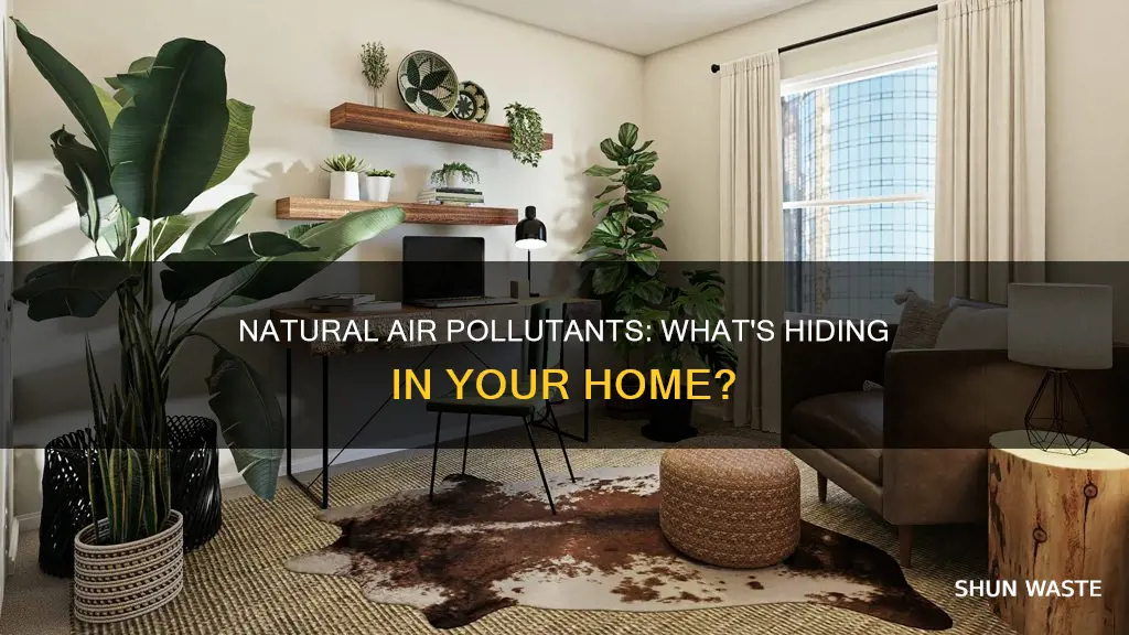 what is a natural indoor air pollutant