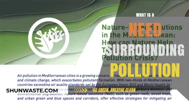 Pollution's Impact: Needs and Solutions for a Greener Future