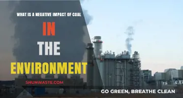 Coal's Dark Legacy: Environmental Degradation and Climate Crisis Explained