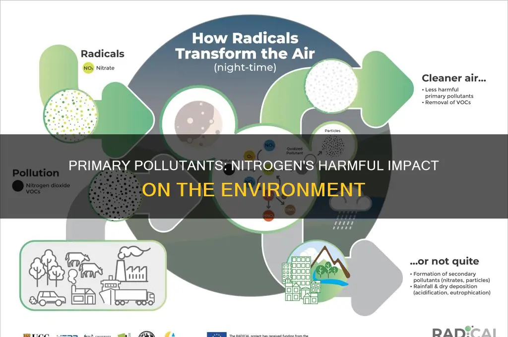 what is a nitrogen containing primary pollutant