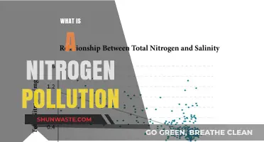 Nitrogen Pollution: Understanding Its Impact and Causes