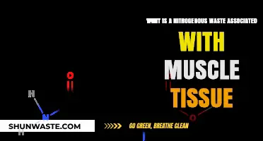 Understanding Nitrogenous Waste in Muscle Tissue: Causes and Effects