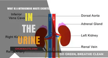 Understanding Nitrogenous Waste: Its Role and Excretion in Urine