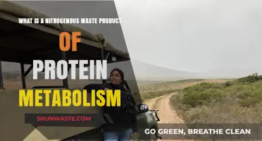 Understanding Nitrogenous Waste: Protein Metabolism's Byproduct Explained