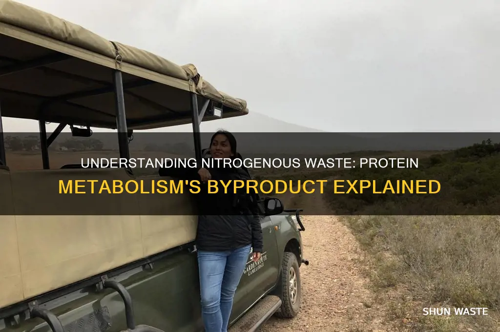 what is a nitrogenous waste product of protein metabolism