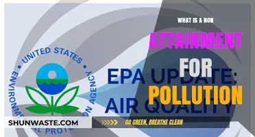 Air Pollution: Non-Attainment Areas and Their Impact