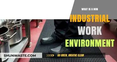 Exploring Non-Industrial Workplaces: Understanding Unique, Non-Factory Job Settings