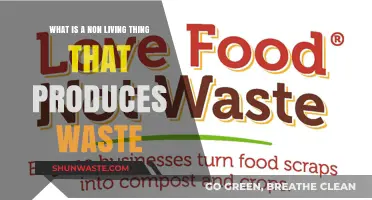 Non-Living Waste Producers: Surprising Sources of Environmental Byproducts