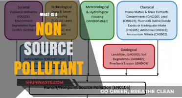 Understanding Non-Source Pollutants: What Are They?