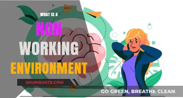 Understanding Non-Working Environments: Causes, Impacts, and Solutions