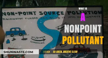 Understanding Nonpoint Pollutants and Their Impact