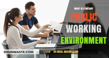 Exploring the Notary Public's Workplace: Environment, Duties, and Daily Life