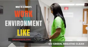 Exploring the Diverse and Dynamic Work Environment of Nurses