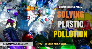 Plastic Pollution: Overcoming the Recycling Conundrum