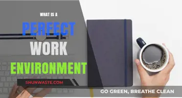 Crafting the Ideal Workplace: Elements of a Perfect Work Environment