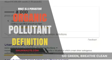 Persistent Organic Pollutants: Understanding Long-Lasting Toxins