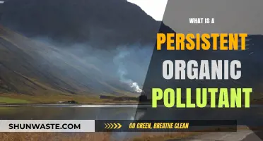 Organic Pollutants: Persistent, Dangerous, and Harmful