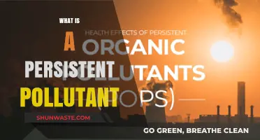 Persistent Pollutants: Long-Lasting Toxins in Our Environment
