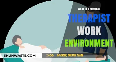 Exploring the Daily Work Environment of a Physical Therapist