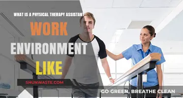 Exploring the Daily Work Environment of a Physical Therapy Assistant